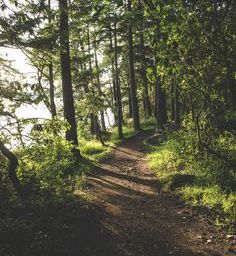 The Trail Capital of Kansas