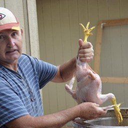 Charles (not) in Charge