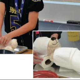 Egyptian ‘Bearial’