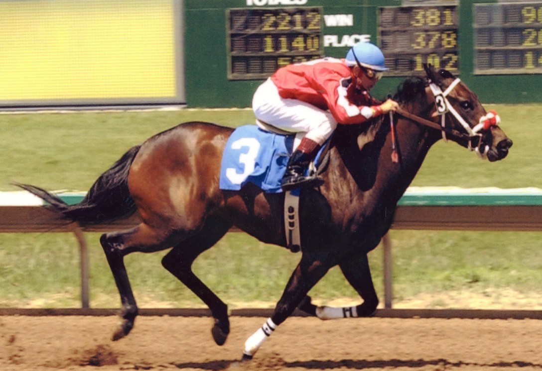 boyd-horse racing 9-8