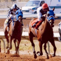 Adapt and Change: A Jockey’s Motto (Part II)