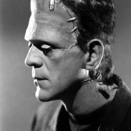 A Misunderstood Monster